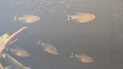 PXL_20250413_170033848.jpg