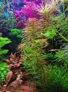 20250421_203418.jpg 20250421_203418.jpg