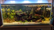 PXL_20250504_134511910.jpg
