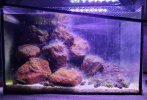 20250512_230638.jpg