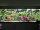 20250706_101645.jpg 20250706_101645.jpg