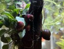 IMG_2851.jpeg
