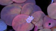 PXL_20250718_171142816.jpg