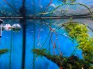 IMG_7507.jpeg
