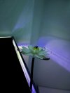 IMG_1200.jpeg