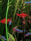 PXL_20250804_200134084.jpg PXL_20250804_200134084.jpg
