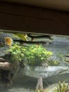 IMG_2931.jpeg