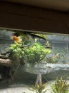 IMG_2930.jpeg