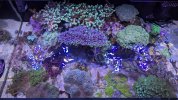 PXL_20250819_162259192.jpg