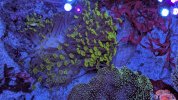 PXL_20250819_200536183.jpg