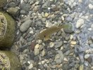 IMG_4557.jpeg
