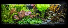 Picsart_25-10-03_08-16-44-740.jpg Picsart_25-10-03_08-16-44-740.jpg