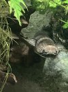 IMG_3014.jpeg