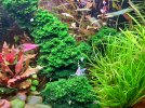 20251015_203256.jpg