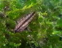 20251026_201320.jpg 20251026_201320.jpg