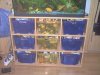 aquarium2.JPG