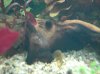aquarium 012.jpg