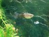 DSC00710.JPG