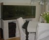DSC03736.JPG