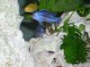 Aquarium3.jpg