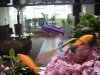 Aquarium2.jpg