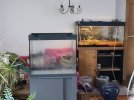 IMG_20260201_105654.jpg