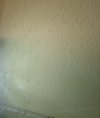 IMG_20260309_142007~2.jpg