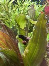IMG_9217.jpeg