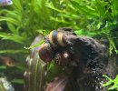 IMG_3958.jpeg