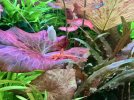 IMG_1026.jpeg