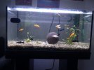 Aquarium.jpg