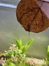 IMG_2197.jpeg
