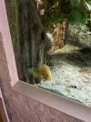 IMG_3429.jpeg