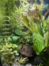 IMG_0310.jpeg
