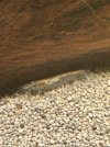 IMG_1357.jpeg