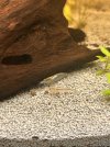 IMG_1351.jpeg