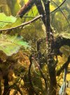 IMG_4608.jpeg