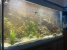 IMG_3114.jpeg