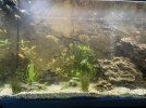 IMG_3115.jpeg
