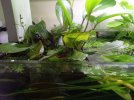 2026-07-02-02.jpg
