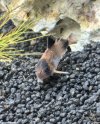 IMG_5700.jpeg