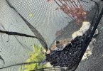 IMG_5699.jpeg