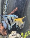 IMG_5696.jpeg