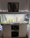 IMG_5694.jpeg