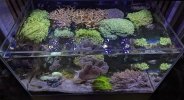 PXL_20260706_133712134.MP~2.jpg