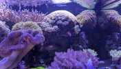 PXL_20260706_133555830.MP~2.jpg
