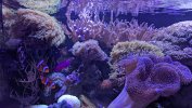 PXL_20260706_133547225.MP~2.jpg