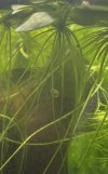 IMG_5167.jpeg IMG_5167.jpeg