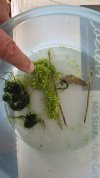 20260719_142846.jpg 20260719_142846.jpg
