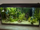 Aquarium 26072026.jpg